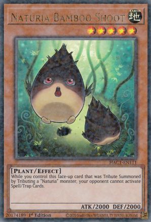 Naturia Bamboo Shoot (Duel Terminal) [HAC1-EN111] Parallel Rare - Yu-Gi-Oh! - Card Brawlers | Quebec | Canada |