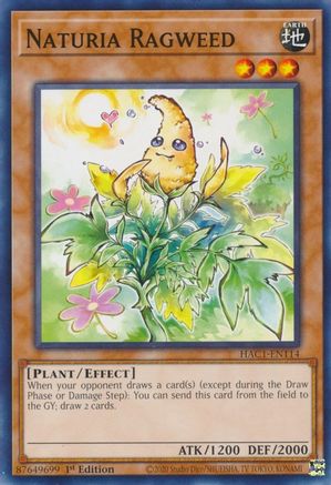 Naturia Ragweed [HAC1-EN114] Common - Yu-Gi-Oh! - Card Brawlers | Quebec | Canada |