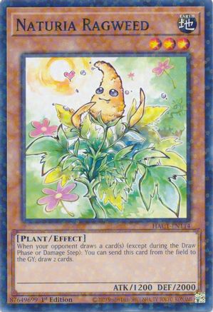 Naturia Ragweed (Duel Terminal) [HAC1-EN114] Parallel Rare - Yu-Gi-Oh! - Card Brawlers | Quebec | Canada |