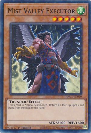 Mist Valley Executor (Duel Terminal) [HAC1-EN060] Common - Yu-Gi-Oh! - Card Brawlers | Quebec | Canada |