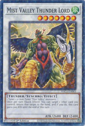 Mist Valley Thunder Lord (Duel Terminal) [HAC1-EN063] Common - Yu-Gi-Oh! - Card Brawlers | Quebec | Canada |