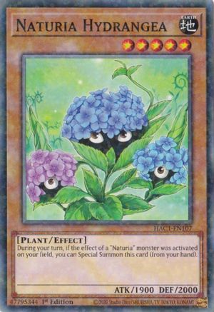 Naturia Hydrangea (Duel Terminal) [HAC1-EN107] Common - Yu-Gi-Oh! - Card Brawlers | Quebec | Canada |