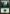 Forest (303) [Ravnica: City of Guilds] - Magic: The Gathering - Card Brawlers | Quebec | Canada |