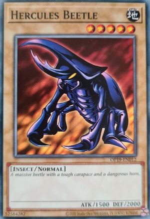 Hercules Beetle [OP19-EN012] Common - Yu-Gi-Oh! - Card Brawlers | Quebec | Canada |