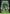 Forest (1651) [Secret Lair Drop Series] - Magic: The Gathering - Card Brawlers | Quebec | Canada |
