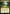 Thriving Grove (Surge Foil) [Doctor Who] - Magic: The Gathering - Card Brawlers | Quebec | Canada |