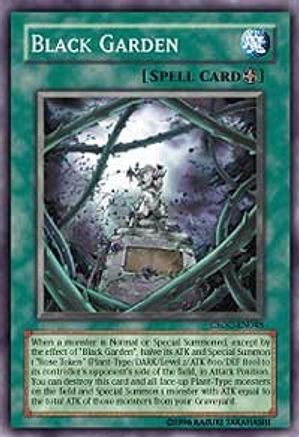 Black Garden [CSOC-EN048] Super Rare - Yu-Gi-Oh! - Card Brawlers | Quebec | Canada |