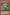 Cactus Fighter [CSOC-EN082] Rare - Yu-Gi-Oh! - Card Brawlers | Quebec | Canada |