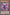Roxrose Dragon [MP22-EN060] Prismatic Secret Rare - Yu-Gi-Oh! - Card Brawlers | Quebec | Canada |