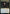 Consuming Aberration [Commander Legends: Battle for Baldur's Gate] - Magic: The Gathering - Card Brawlers | Quebec | Canada |