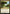 Exotic Orchard [Secret Lair: Heads I Win, Tails You Lose] - Magic: The Gathering - Card Brawlers | Quebec | Canada |