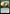 Ancient Cornucopia [Outlaws of Thunder Junction: The Big Score] - Magic: The Gathering - Card Brawlers | Quebec | Canada |