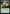 Master Chef [Commander Legends: Battle for Baldur's Gate] - Magic: The Gathering - Card Brawlers | Quebec | Canada |