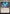 Teeming Dragonstorm (Showcase) [Tarkir: Dragonstorm] - Magic: The Gathering - Card Brawlers | Quebec | Canada |