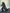 Tamashii Nations - GODZILLA [2026] - (PREORDER) December 15, 2026