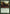 Mold Shambler [Duel Decks: Jace vs. Vraska] - Magic: The Gathering - Card Brawlers | Quebec | Canada |