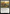 Valley Questcaller [Bloomburrow] - Magic: The Gathering - Card Brawlers | Quebec | Canada |