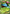 Venusaur EX (XY28) [XY: Black Star Promos] - Pokémon - Card Brawlers | Quebec | Canada |