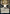 Approach of the Second Sun (Japanese) [Strixhaven: School of Mages Mystical Archive] - Magic: The Gathering - Card Brawlers | Quebec | Canada |