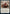 Wedding Announcement // Wedding Festivity [Innistrad: Crimson Vow] - Magic: The Gathering - Card Brawlers | Quebec | Canada |