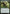 Cavalier of Thorns (Promo Pack) [Core Set 2020 Promos] - Magic: The Gathering - Card Brawlers | Quebec | Canada |
