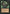Irini Sengir [Homelands] - Magic: The Gathering - Card Brawlers | Quebec | Canada |