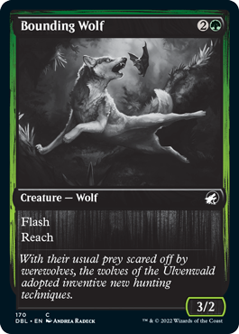 Bounding Wolf [Innistrad: Double Feature] - Magic: The Gathering - Card Brawlers | Quebec | Canada |