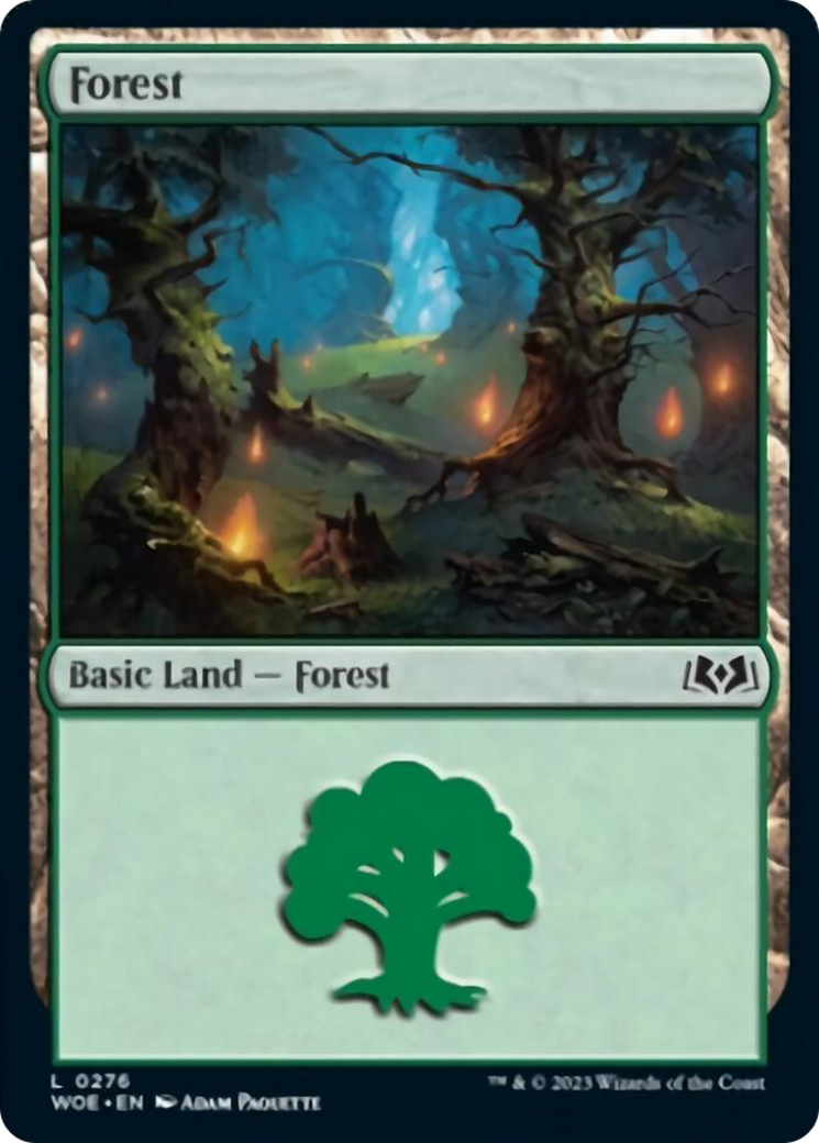 Forest (0276) [Wilds of Eldraine] - Magic: The Gathering - Card Brawlers | Quebec | Canada |