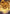 Ao, the Dawn Sky 2 Art Card (Gold-Stamped Signature) [Kamigawa: Neon Dynasty Art Series] - Magic: The Gathering - Card Brawlers | Quebec | Canada |