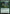 Yavimaya Sapherd [Mystery Booster] - Magic: The Gathering - Card Brawlers | Quebec | Canada |