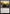 Needleverge Pathway // Pillarverge Pathway [Secret Lair: From Cute to Brute] - Magic: The Gathering - Card Brawlers | Quebec | Canada |
