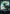 Merfolk Theme Card [Jumpstart 2022 Front Cards] - Magic: The Gathering - Card Brawlers | Quebec | Canada |