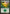 Forest (39) [Duel Decks: Ajani vs. Nicol Bolas] - Magic: The Gathering - Card Brawlers | Quebec | Canada |