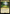 Thriving Grove [Doctor Who] - Magic: The Gathering - Card Brawlers | Quebec | Canada |