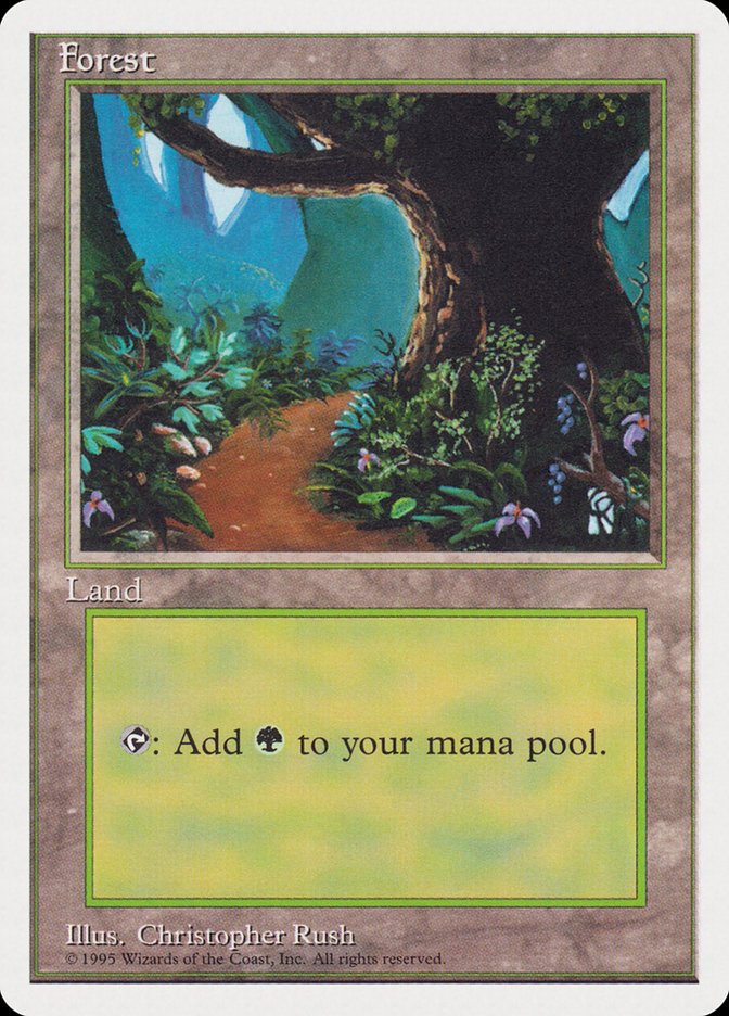 Forest (Dirt Path) [Rivals Quick Start Set] - Magic: The Gathering - Card Brawlers | Quebec | Canada |