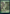 Forest (281) [The Lord of the Rings: Tales of Middle-Earth] - Magic: The Gathering - Card Brawlers | Quebec | Canada |