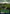 Cragcrown Pathway // Timbercrown Pathway (Borderless) [Secret Lair: Ultimate Edition 2] - Magic: The Gathering - Card Brawlers | Quebec | Canada |