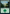 Forest (93) [Foundations Jumpstart] - Magic: The Gathering - Card Brawlers | Quebec | Canada |
