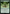 Earth Rumble [Avatar: The Last Airbender] - Magic: The Gathering - Card Brawlers | Quebec | Canada |