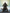Tamashii Nations - GODZILLA [2026] - (PREORDER) December 15, 2026