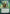 Garruk Wildspeaker (Borderless) [Secret Lair Drop Series] - Magic: The Gathering - Card Brawlers | Quebec | Canada |