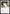 Silence [The List] - Magic: The Gathering - Card Brawlers | Quebec | Canada |