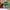 LEGO - Art - Claude Monet – Bridge over a Pond of Water Lilies - Building Kit - 31220