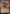 Vona, Butcher of Magan (Rainbow Foil) [Secret Lair Drop Series] - Magic: The Gathering - Card Brawlers | Quebec | Canada |