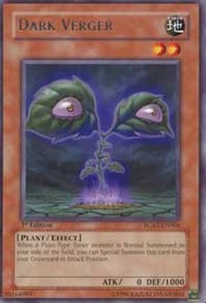 Dark Verger [RGBT-EN004] Rare - Yu-Gi-Oh! - Card Brawlers | Quebec | Canada |