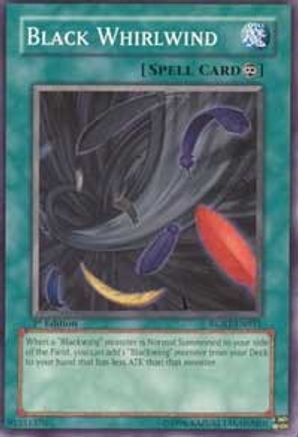 Black Whirlwind [RGBT-EN051] Common