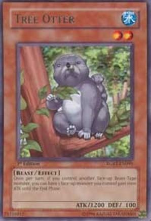 Tree Otter [RGBT-EN095] Rare - Yu-Gi-Oh! - Card Brawlers | Quebec | Canada |