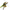 BANDAI - One Piece - Cross Posing - Roronoa Zoro - (PREORDER) January 22, 2027