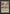 Living Wall [International Collectors' Edition] - Magic: The Gathering - Card Brawlers | Quebec | Canada |