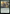 Snakeskin Veil [Commander Masters] - Magic: The Gathering - Card Brawlers | Quebec | Canada |